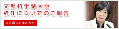 �Q�c�@�c���@�X�䂤�� �R�R���O